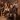 Casting Crowns